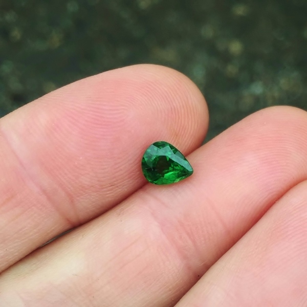 Intense Chrome Green Tsavorite Garnet Kenya 1.27 carats Litnon.com