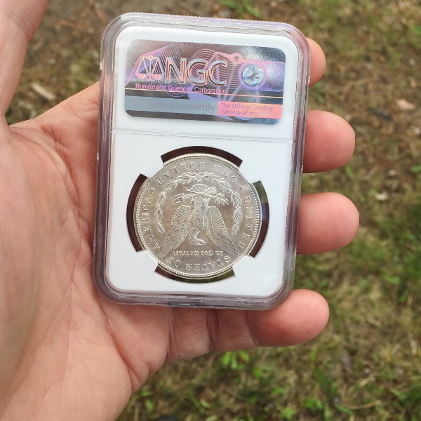  1881 S Morgan Dollar MS 64 Litnon.com