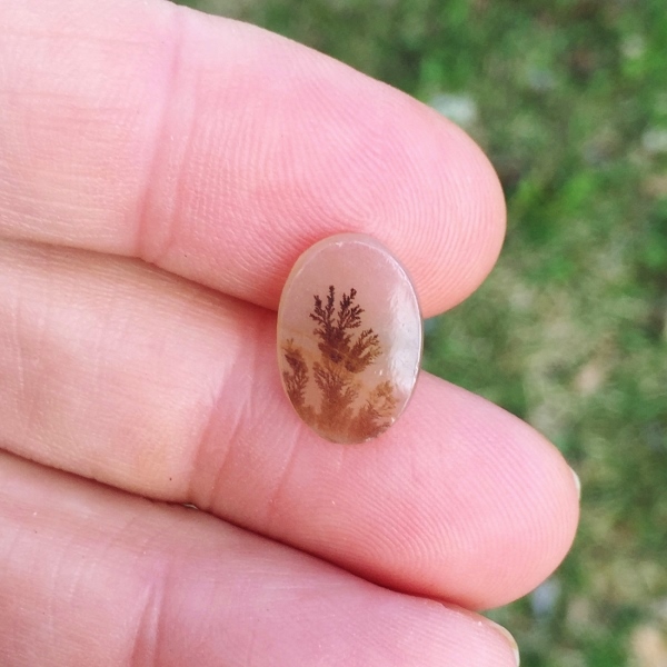  All Natural Ring Size Dendritic Agate India  Litnon.com