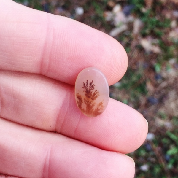  All Natural Ring Size Dendritic Agate India  Litnon.com