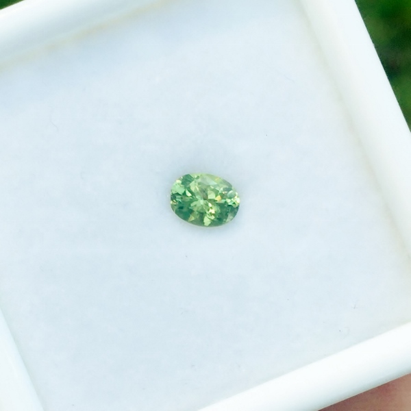 Bright and Pretty Demantoid Garnet Namibia  Litnon.com
