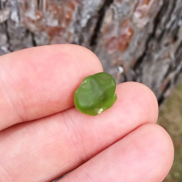  Fine Color and Clean Peridot Facet Rough Arizona 9.41 ct  Litnon.com