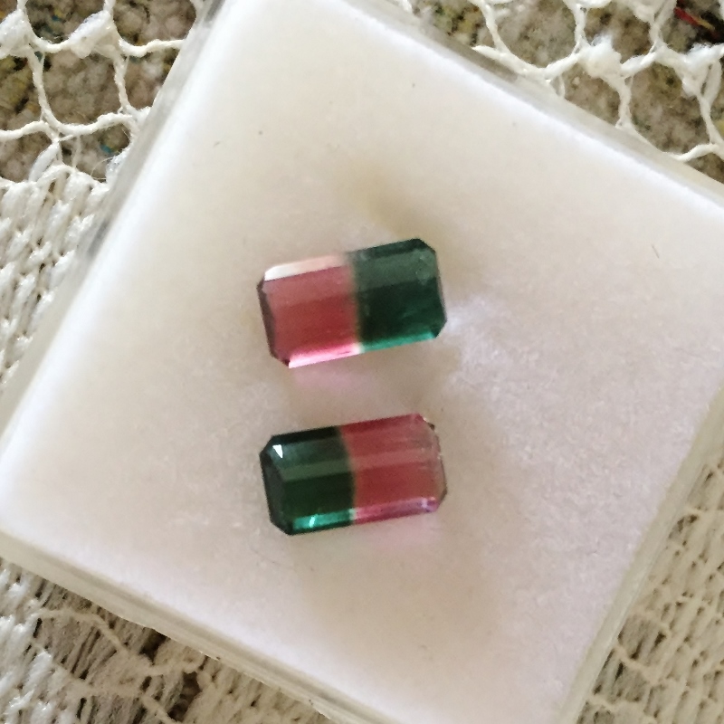 Matched Pair Bi-Color Watermelon Tourmaline Brazil 3.25 ct. tw.  Litnon.com