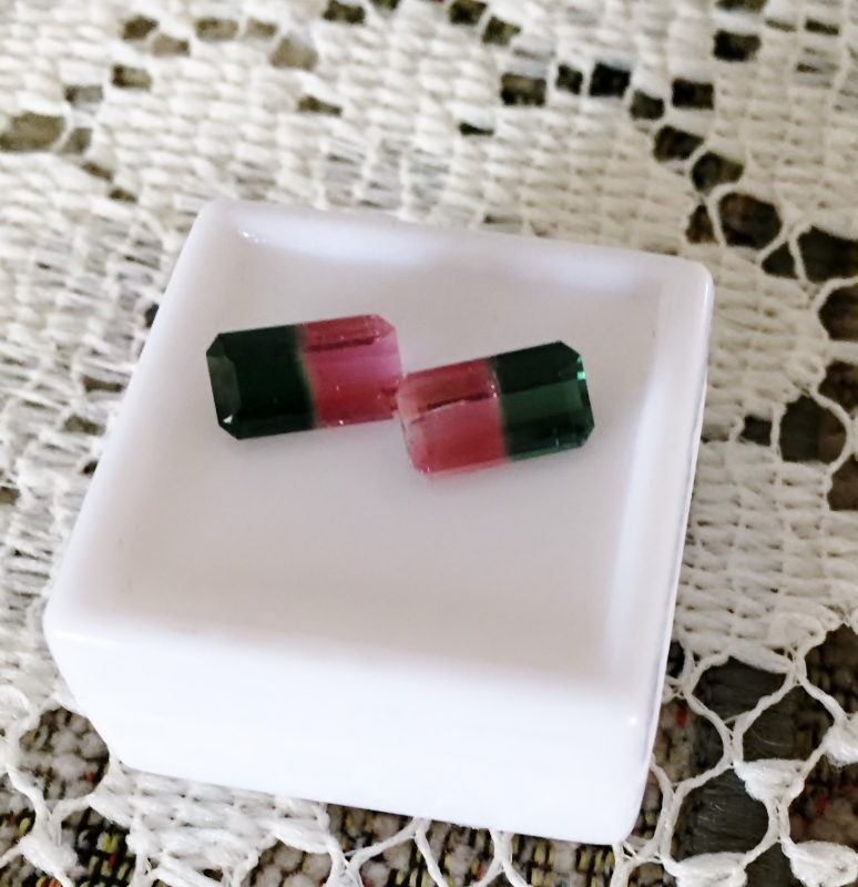 Matched Pair Bi-Color Watermelon Tourmaline Brazil 3.25 ct. tw.  Litnon.com