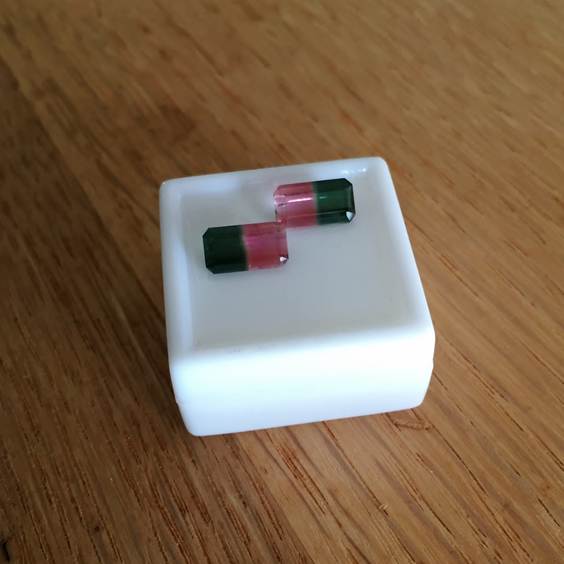 Matched Pair Bi-Color Watermelon Tourmaline Brazil 3.25 ct. tw.  Litnon.com