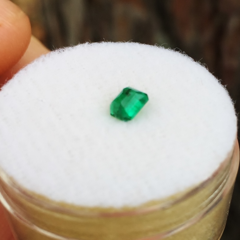 Tiny Treasure Natural Colombian Emerald  Litnon.com