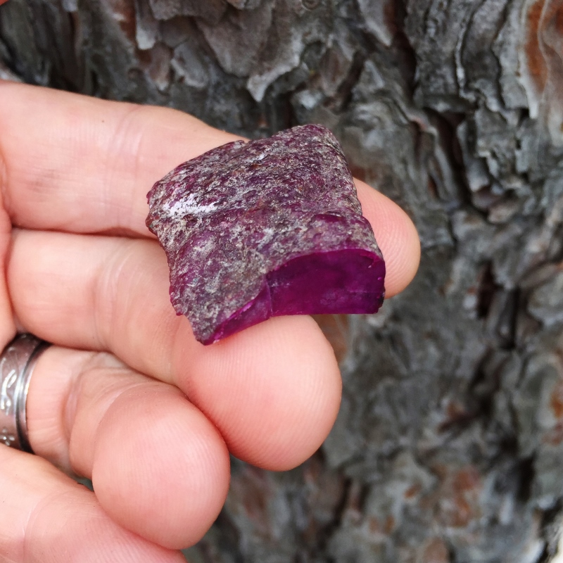 Rare Natural Rich Plum Color Sugilite Cabbing Rough 10 gr.  Litnon.com