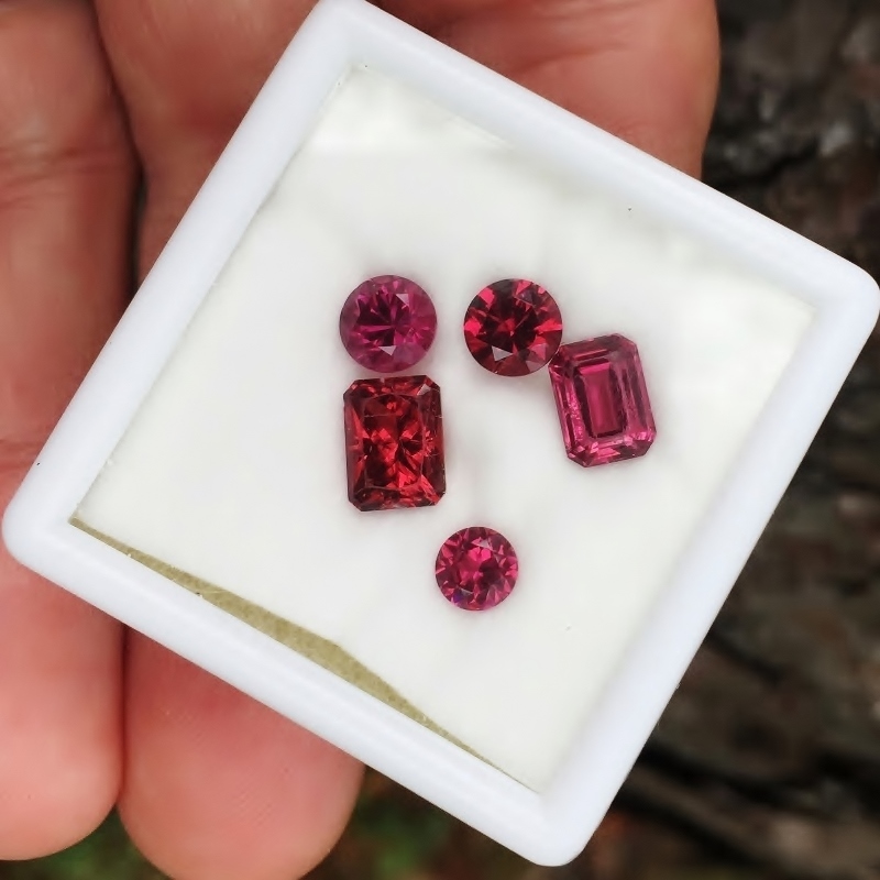 Bright and Pretty Mixed Species Garnet Lot Tanzania GLI  Litnon.com
