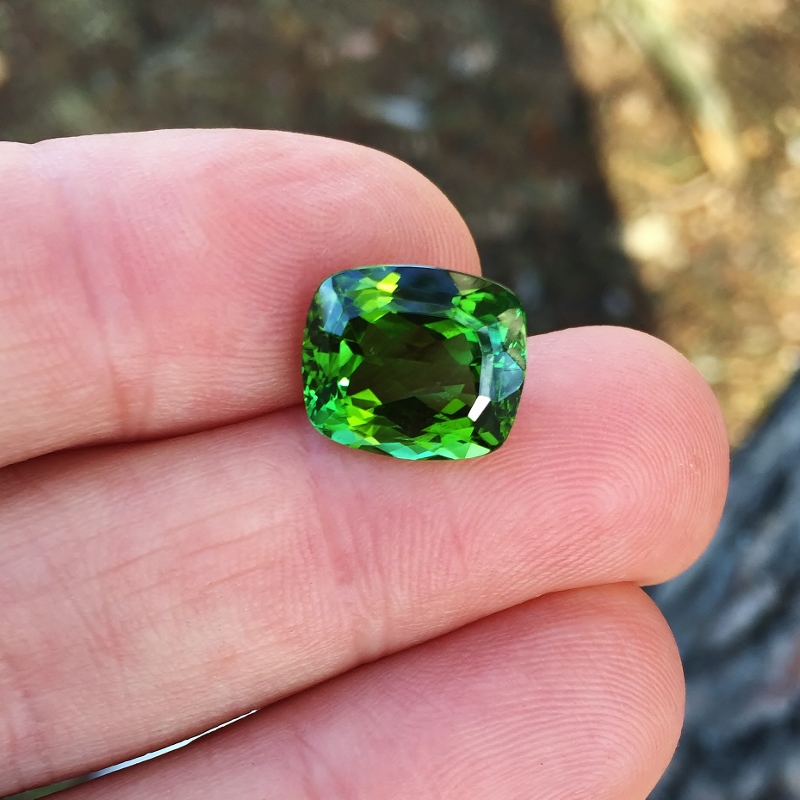 Fine Color and Bright Dichroic Green Tourmaline Nigeria 7.71 ct  Litnon.com