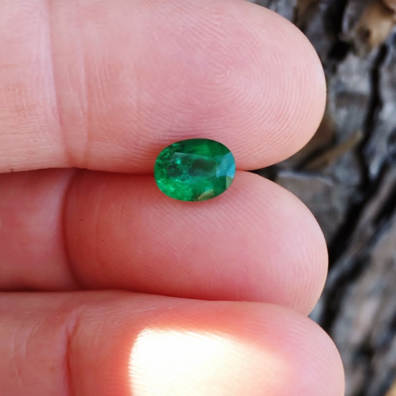 Rich beautiful Color Natural Zambian Emerald 1.21 ct  Litnon.com