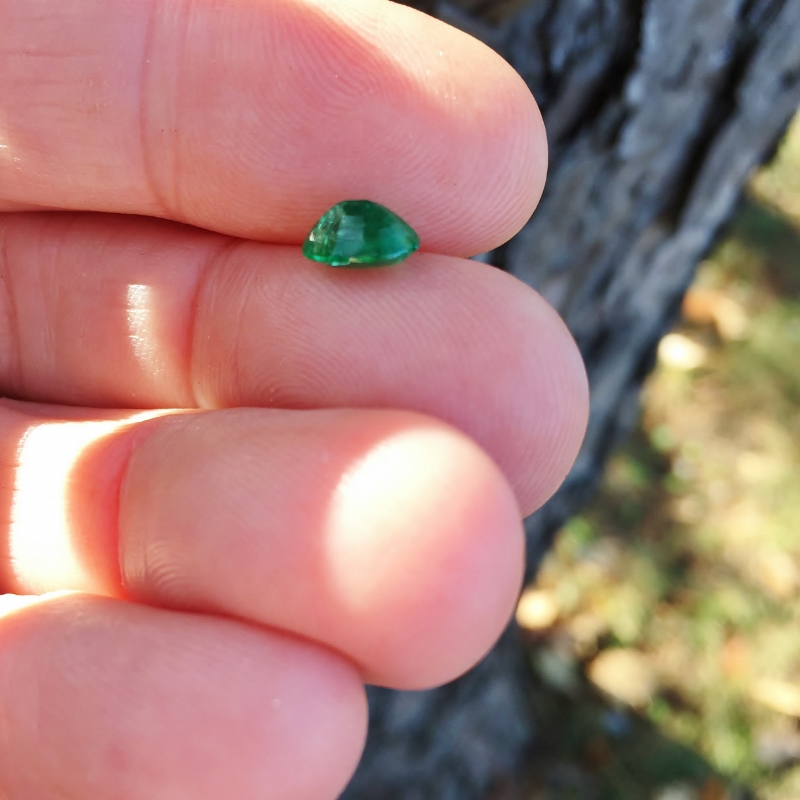 Rich beautiful Color Natural Zambian Emerald 1.21 ct  Litnon.com