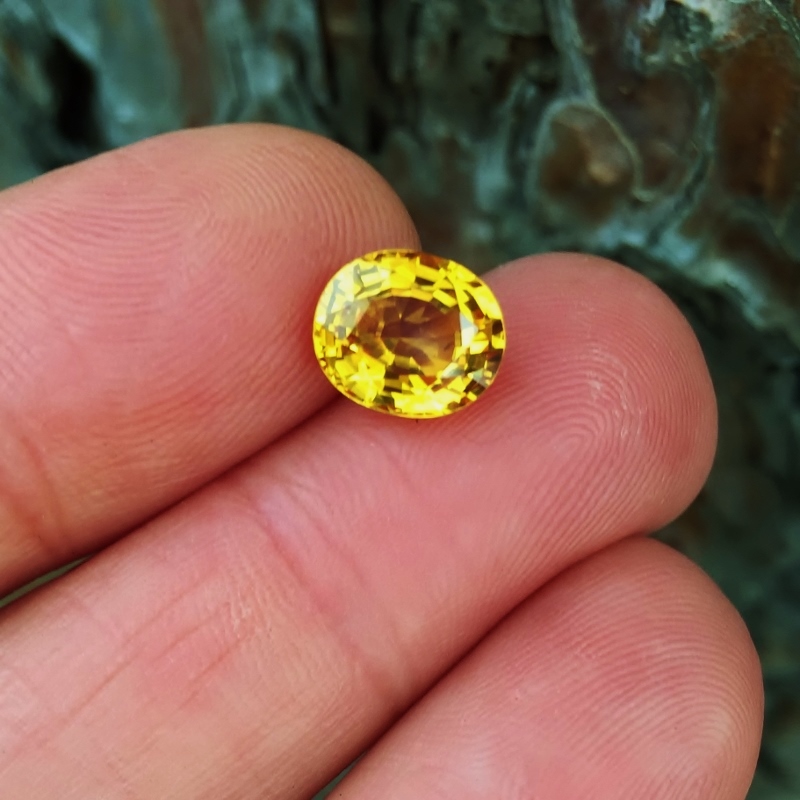 Fine Color Rich Golden Yellow Sapphire Sri Lanka 3.52 ct  Litnon.com
