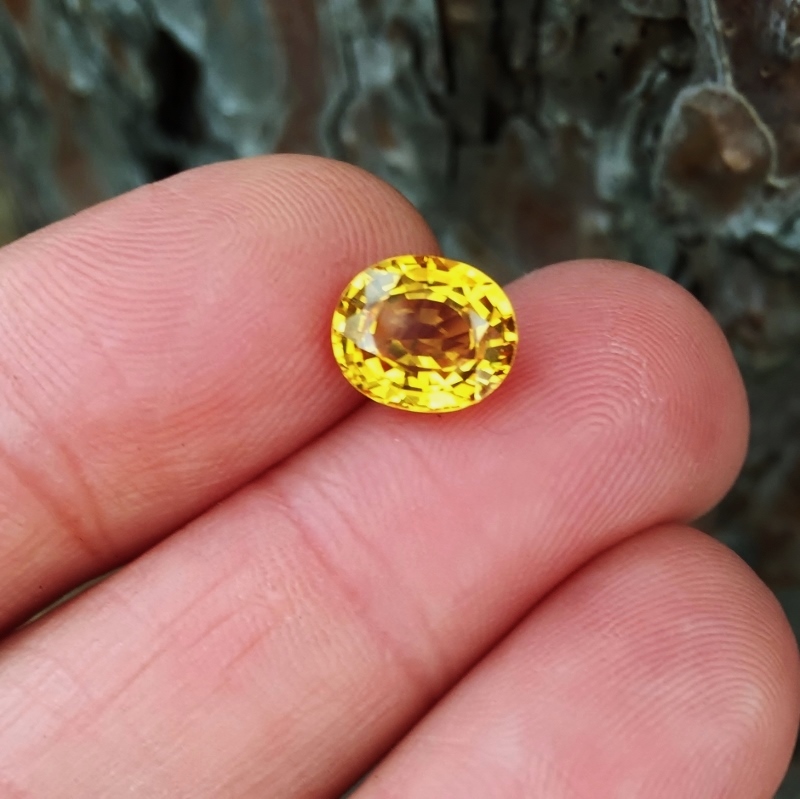 Fine Color Rich Golden Yellow Sapphire Sri Lanka 3.52 ct  Litnon.com