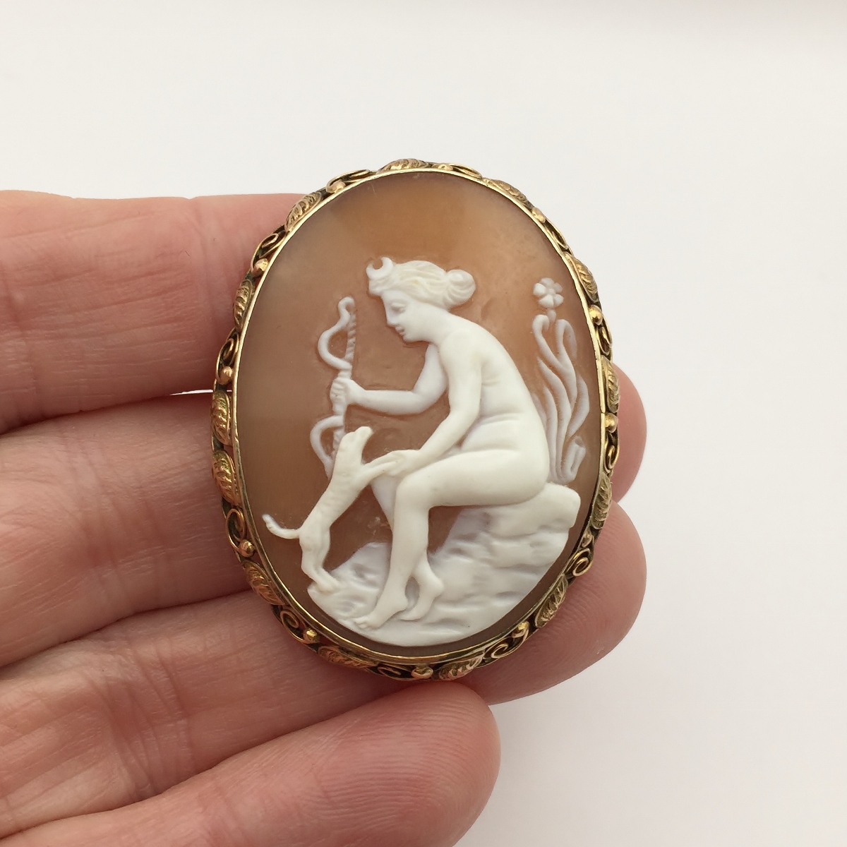 Antique Extra Large Shell Cameo Pin 10-karat Yellow Gold Litnon.com