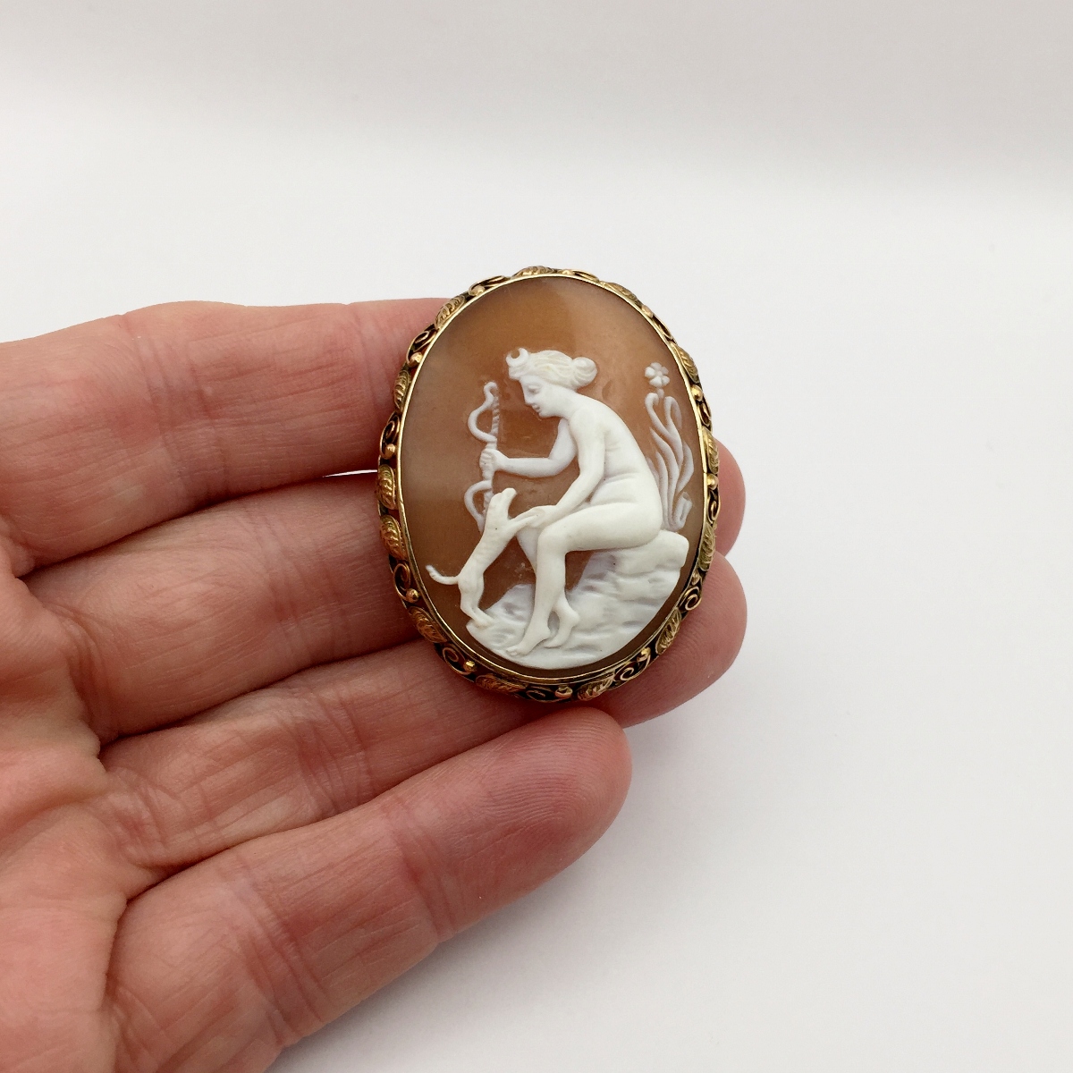 Antique Extra Large Shell Cameo Pin 10-karat Yellow Gold Litnon.com