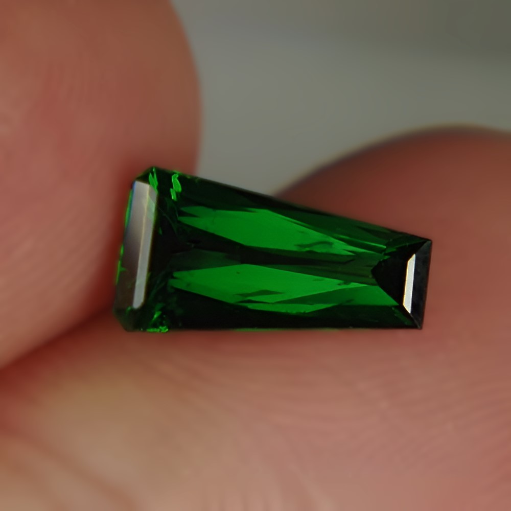 Intense Chrome Green Tsavorite Garnet Kenya 1.19 carats GL Litnon.com
