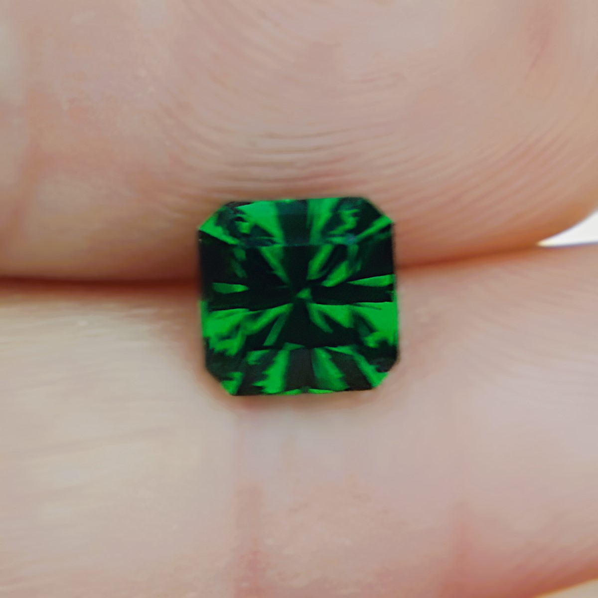Intense Chrome Green Tsavorite Garnet Kenya 1.99 carats GL Litnon.com