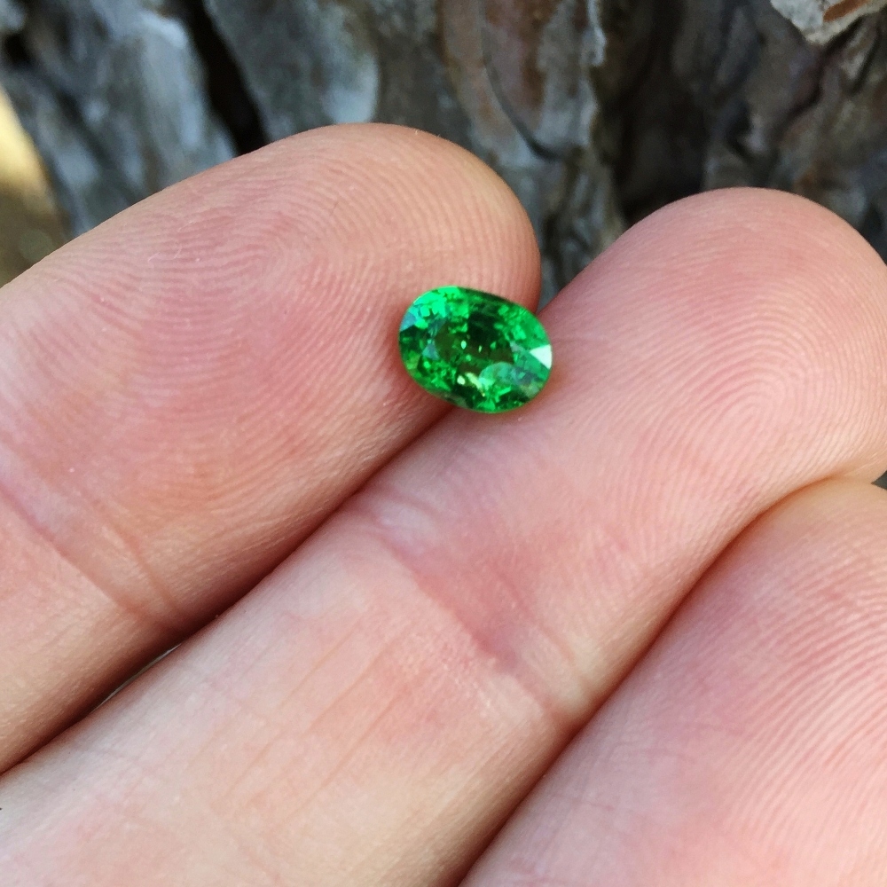 Vivid Chrome Green Tsavorite Garnet Kenya 0.85 Carats Litnon.com