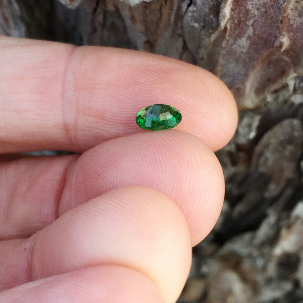 Vivid Chrome Green Tsavorite Garnet Kenya 0.85 Carats Litnon.com