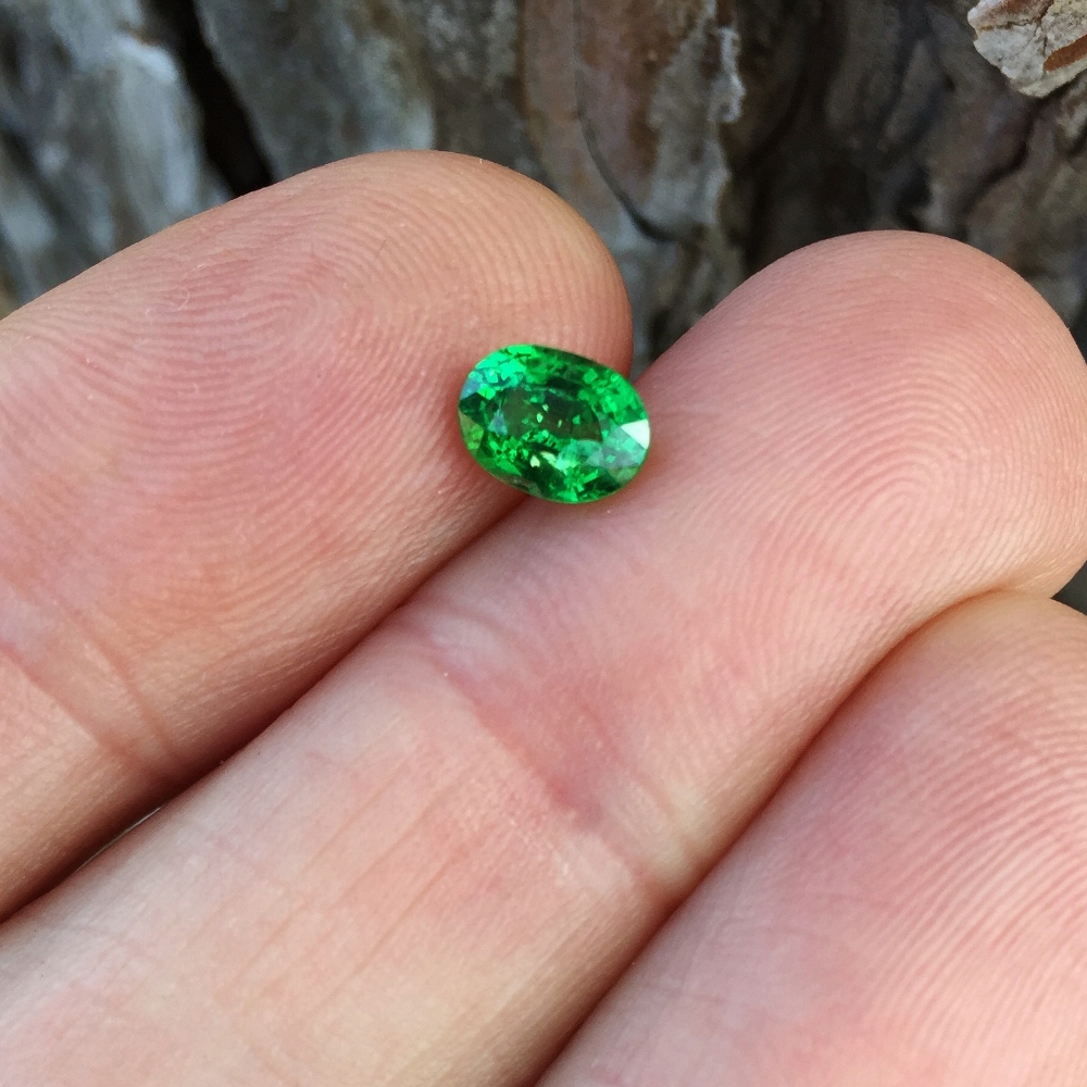 Vivid Chrome Green Tsavorite Garnet Kenya 0.85 Carats Litnon.com