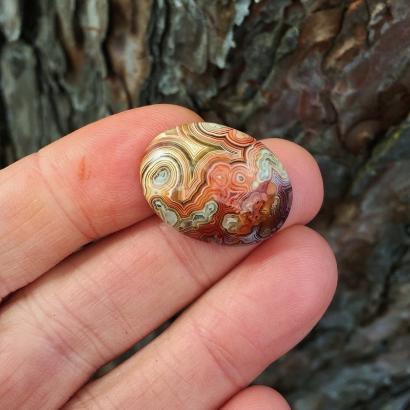 Rare Quality Old Stock Crazy Lace Agate Mexico GLI Litnon.com