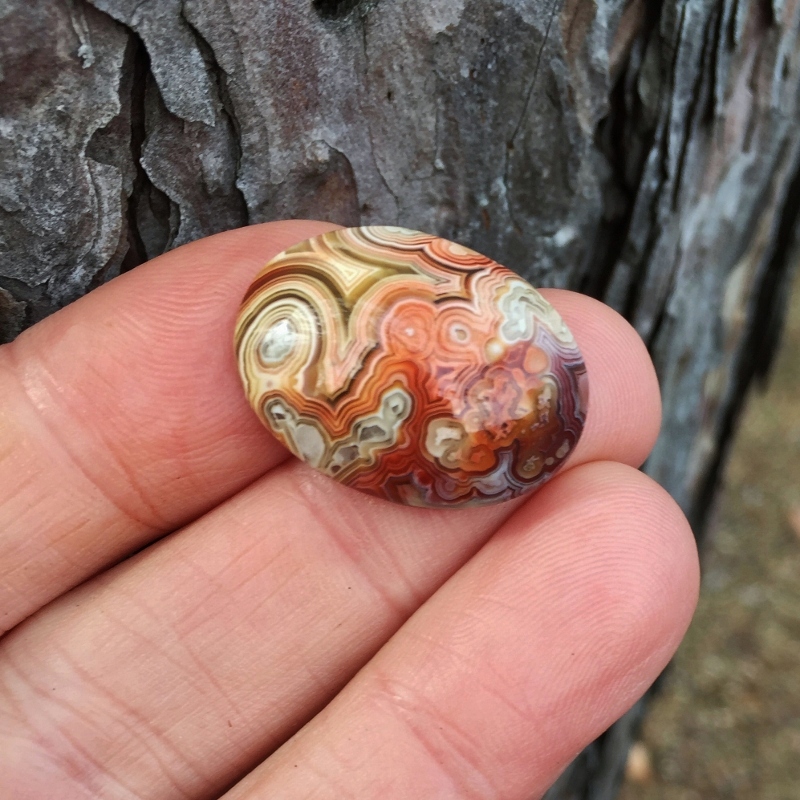 Rare Quality Old Stock Crazy Lace Agate Mexico GLI Litnon.com