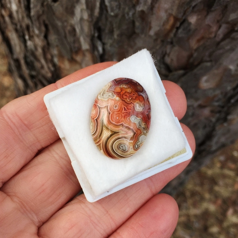 Rare Quality Old Stock Crazy Lace Agate Mexico GLI Litnon.com