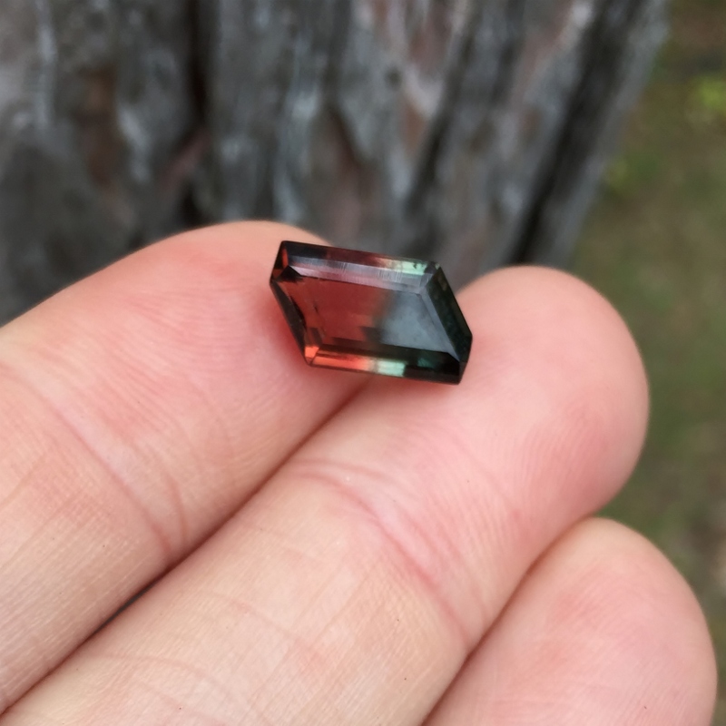 Collectors Red - Blue Bi-Color Tourmaline Nigeria 4.65 carats GLI Litnon.com