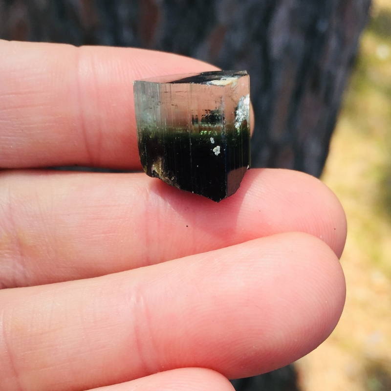 Collectors Achroite and Schorl Tourmaline Specimen Afghanistan GL Litnon.com