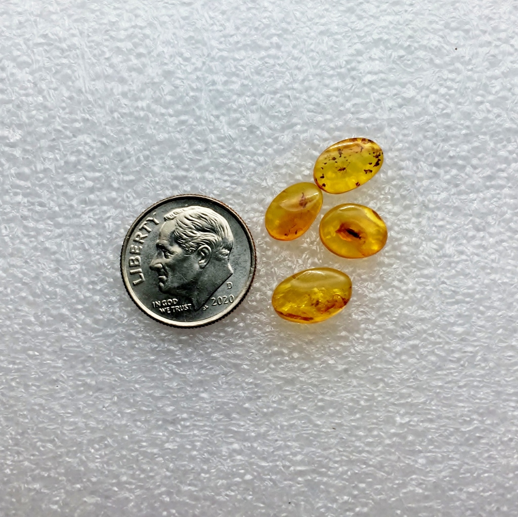 Natural Baltic Insect Amber Cabochon Russia Lot  Litnon.com