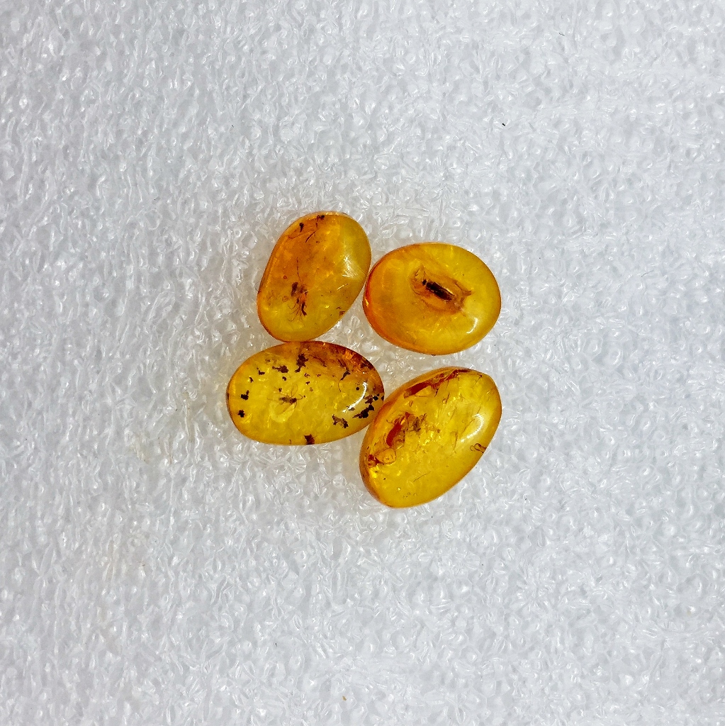Natural Baltic Insect Amber Cabochon Russia Lot  Litnon.com