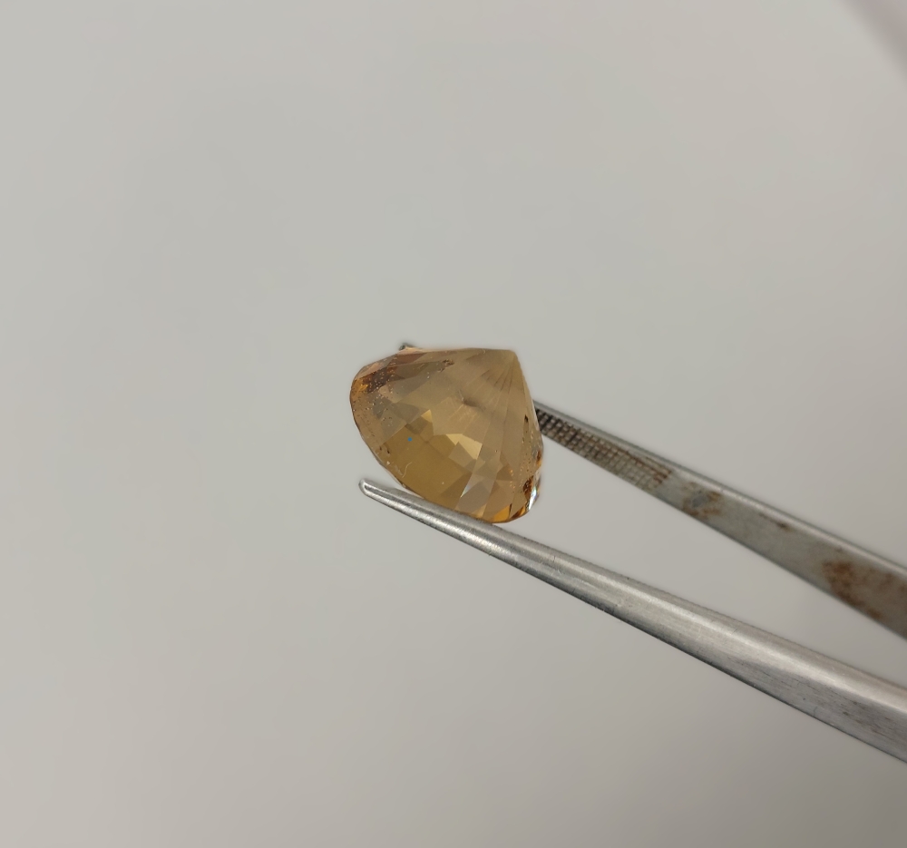 Unique Citrine with Butterfly Gemstone 7.01 Carats Litnon.com