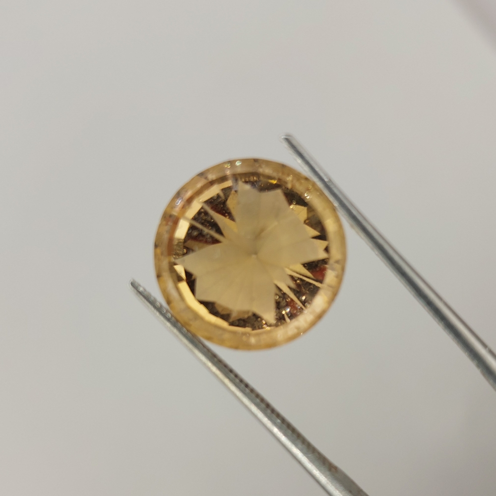 Unique Citrine with Butterfly Gemstone 7.01 Carats Litnon.com