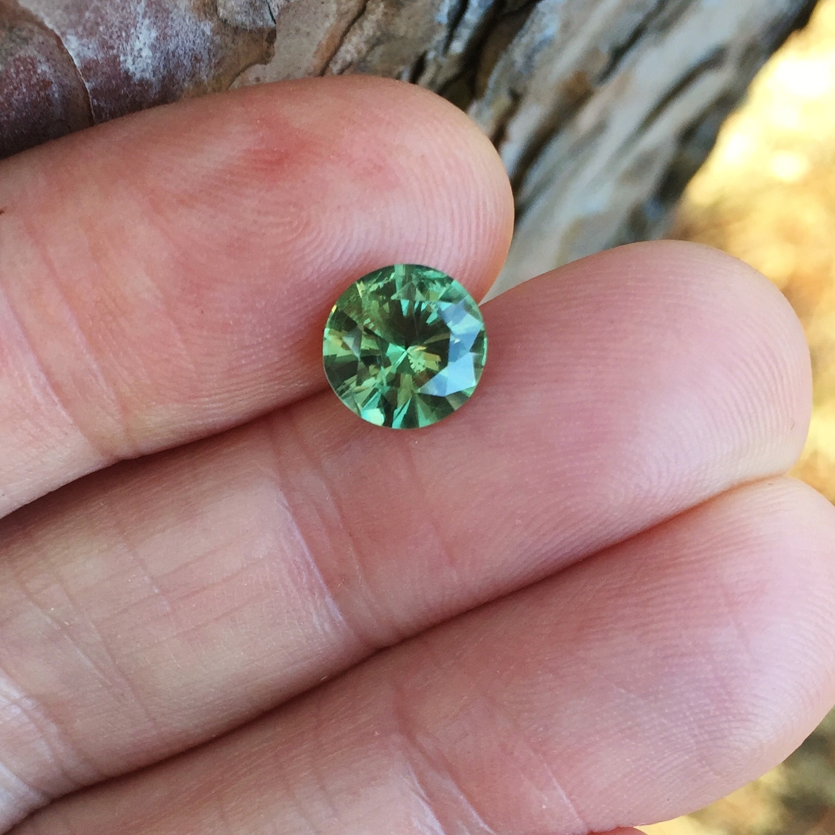 Large And Unheated Natural Green Montana Sapphire 2.91 Carats Litnon.com