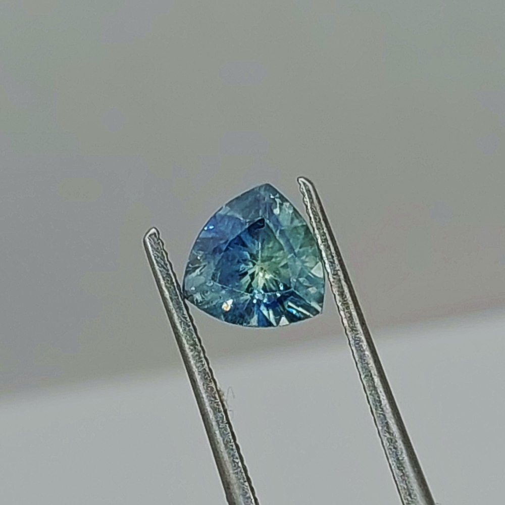 American Gem Natural Montana Sapphire 0.98 Carats Litnon.com