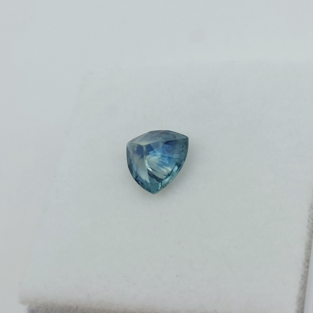American Gem Natural Montana Sapphire 0.98 Carats Litnon.com