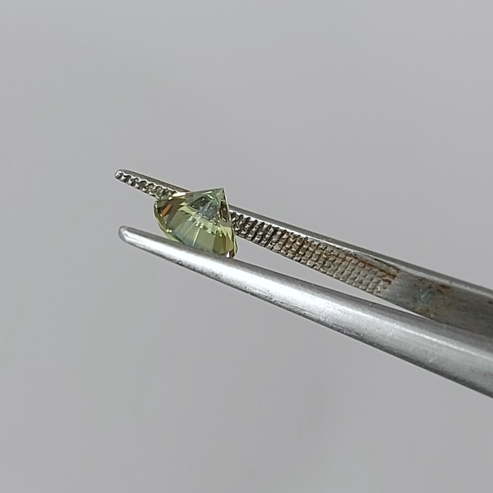 USA Cut Natural Montana Sapphire 0.92 Carats Litnon.com