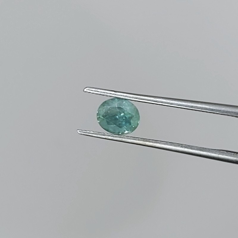 Blue Green Montana Sapphire 0.72 Carats  Litnon.com