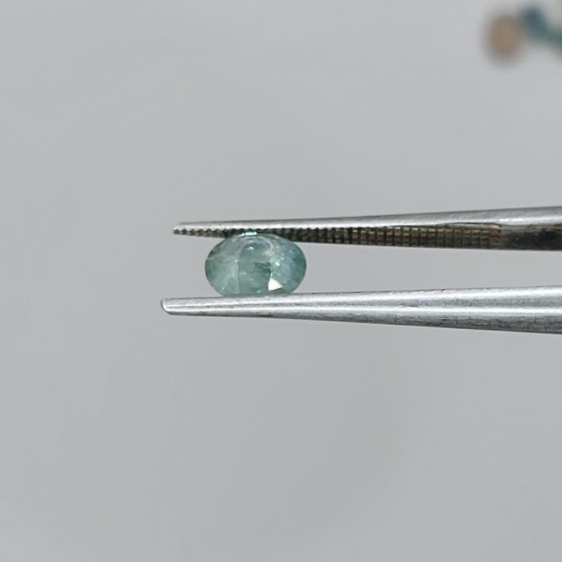 Blue Green Montana Sapphire 0.72 Carats  Litnon.com