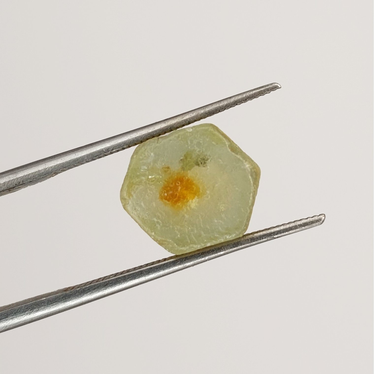 American Gem Natural Montana Sapphire Rough Flat 8.67 Carats Litnon.com