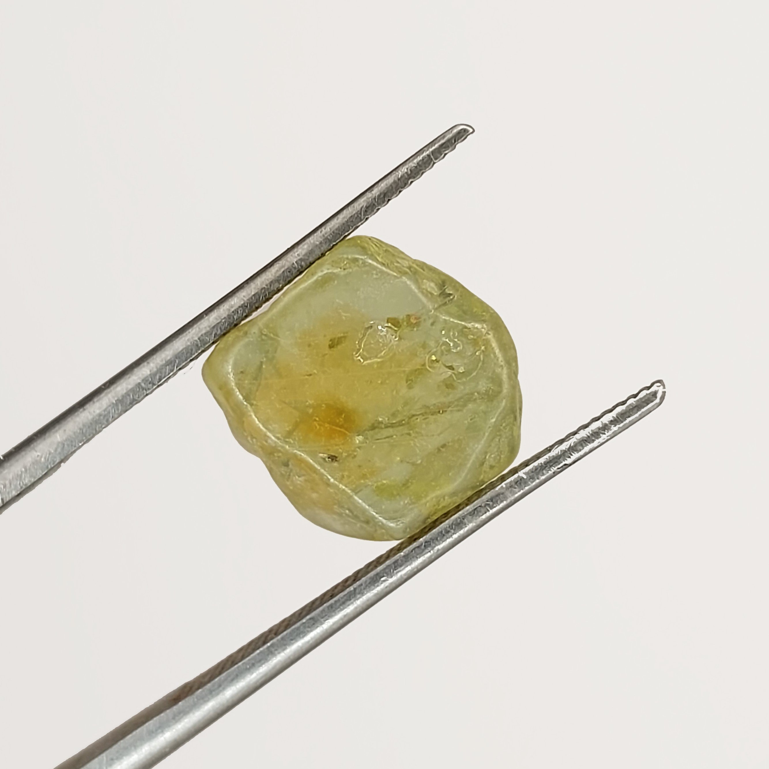 American Gem Natural Montana Sapphire Rough 6.42 Carats Litnon.com