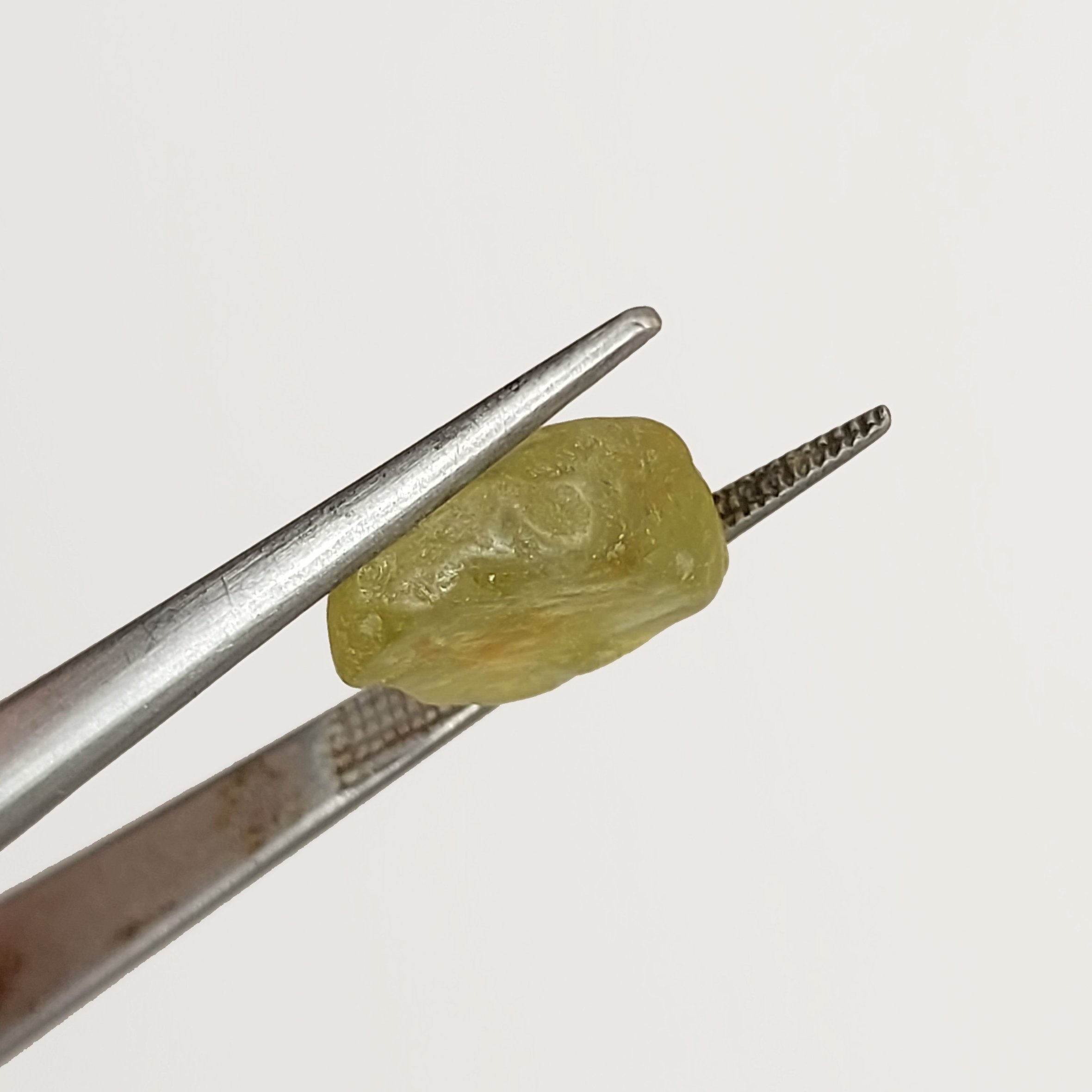 American Gem Natural Montana Sapphire Rough 6.42 Carats Litnon.com