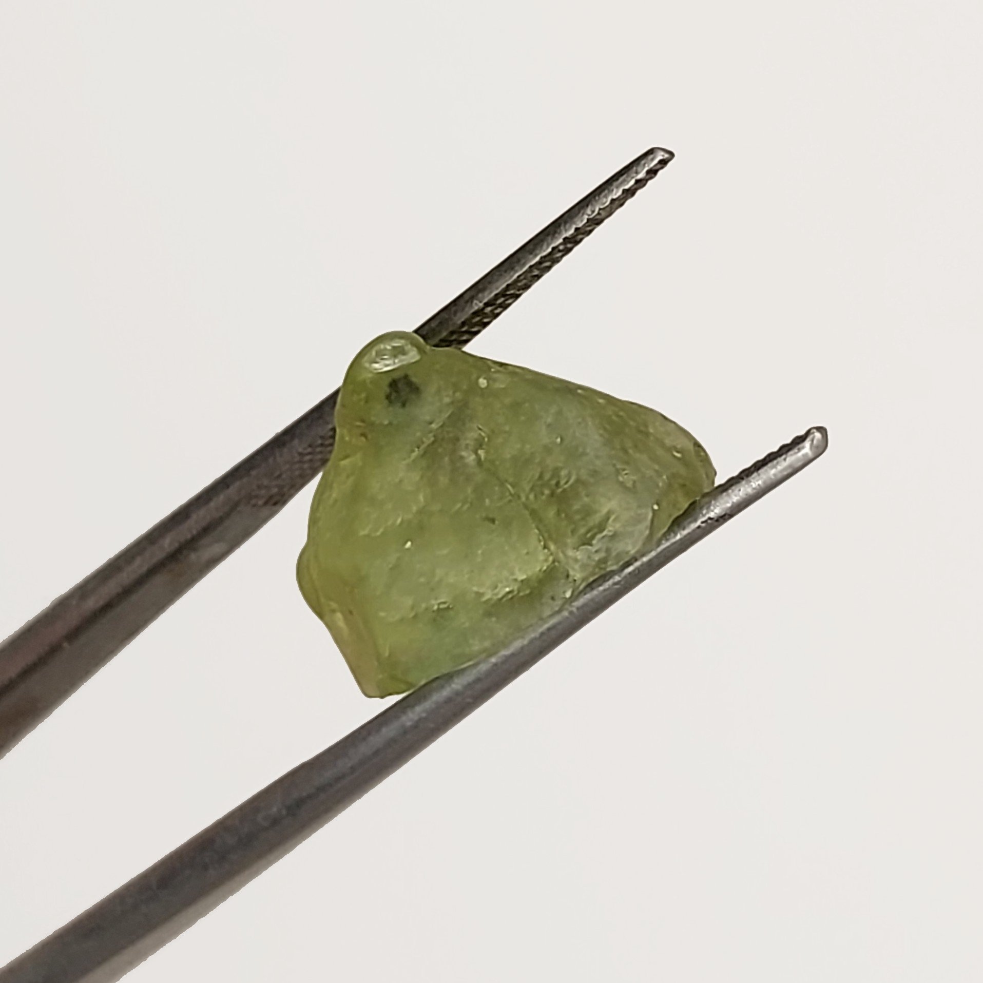 American Gem Natural Montana Sapphire Rough 9.60 Carats Litnon.com