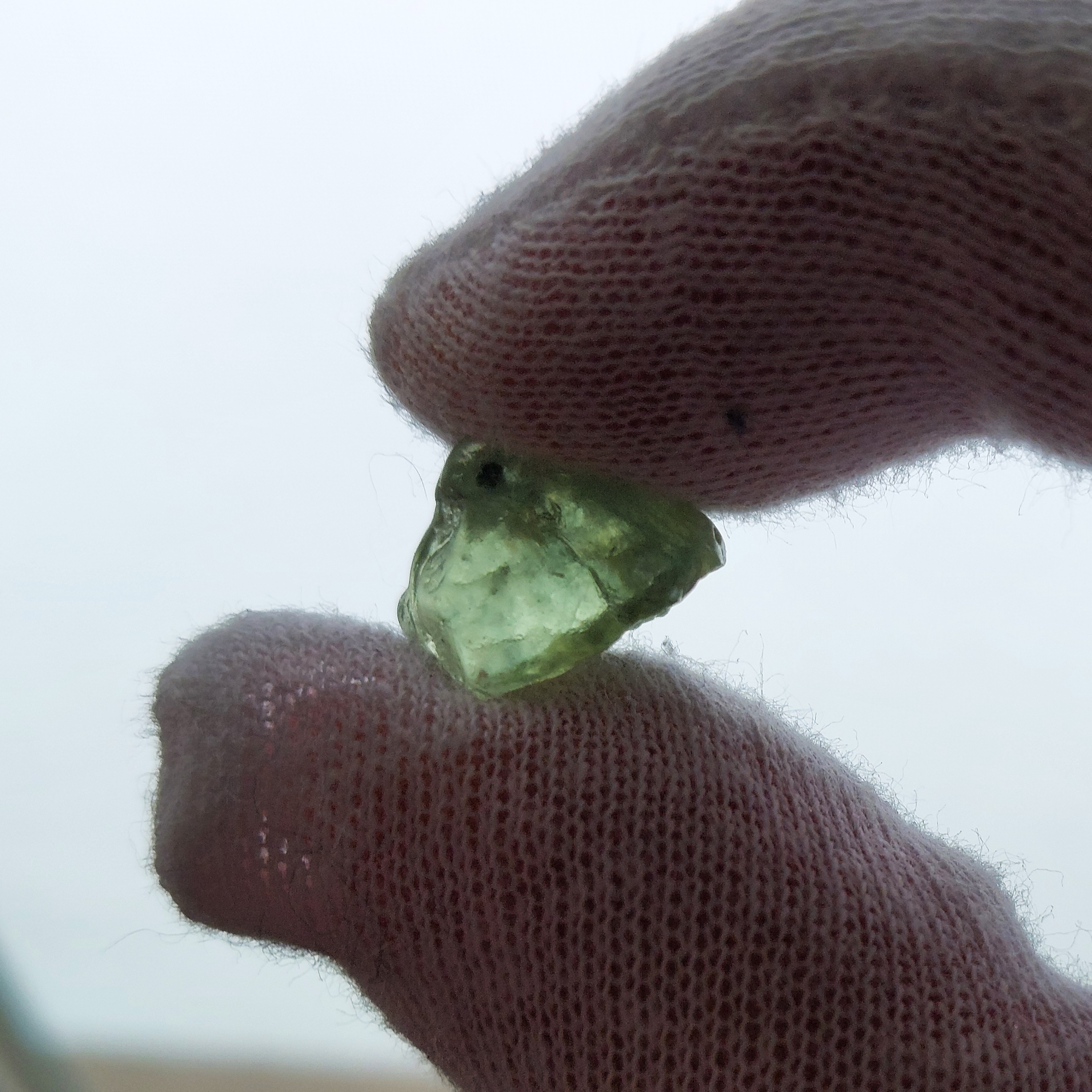 American Gem Natural Montana Sapphire Rough 9.60 Carats Litnon.com