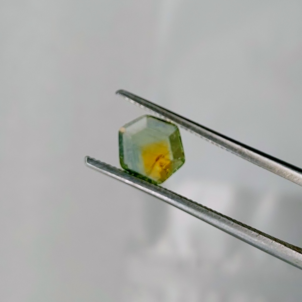 Montana Sapphire Portrait Cut Crystal 1.15 Carats Litnon.com