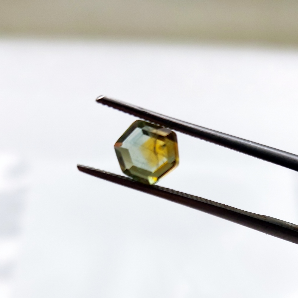 Montana Sapphire Portrait Cut Crystal 1.15 Carats Litnon.com