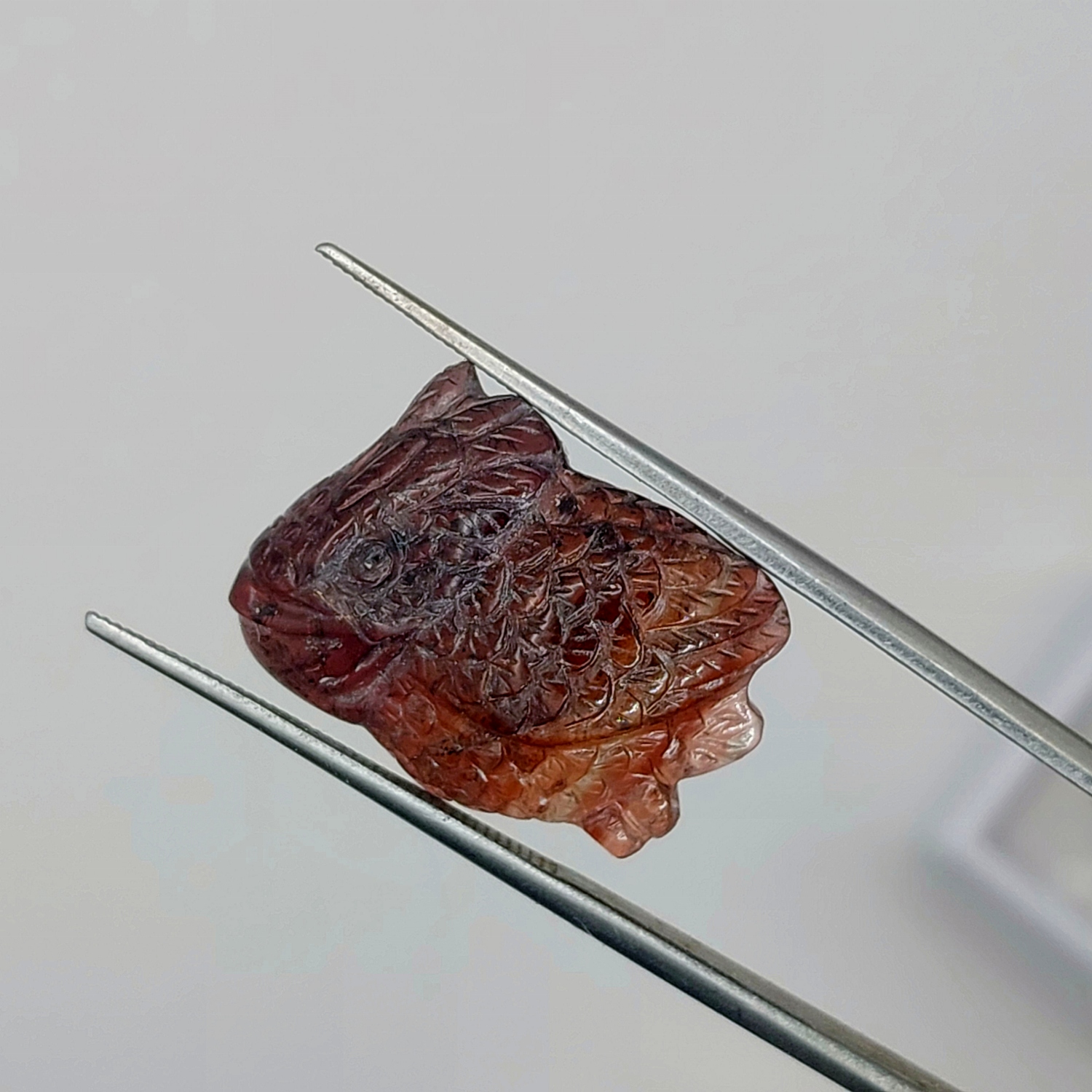 Natural Multi-Color Banded Tourmaline Hand-Carved Koi Fish 13.50 Carats Litnon.com