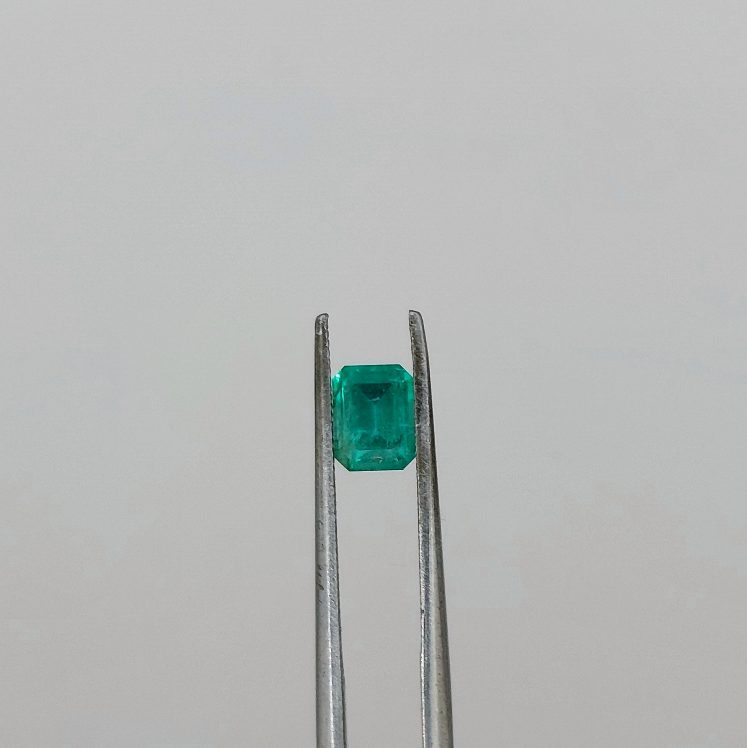 Natural Bright Fine Green Colombian Emerald 0.80 Carat Litnon.com
