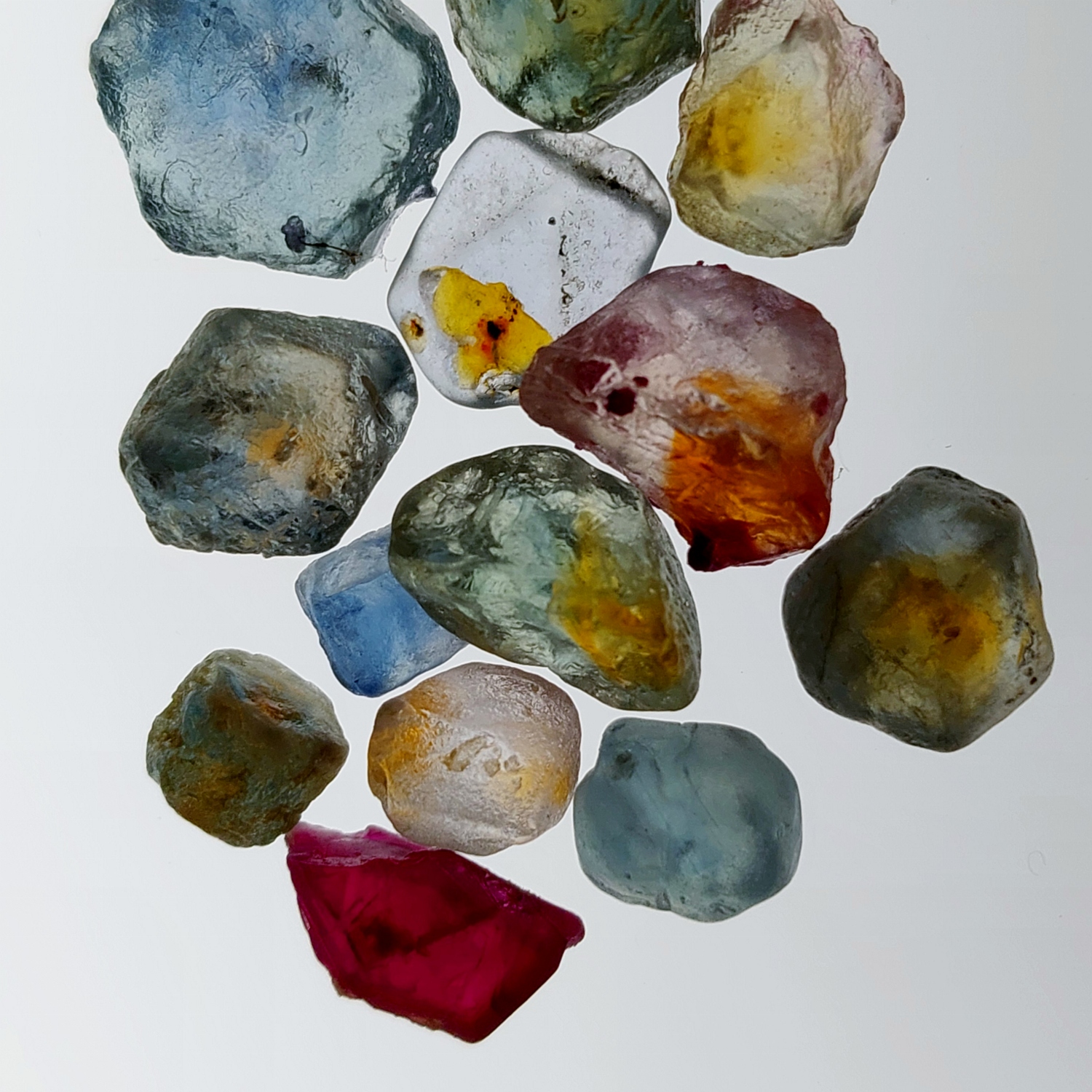 Natural Montana Sapphire Facet Rough 48.38 Carats Litnon.com