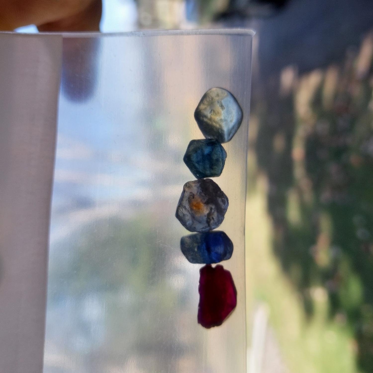 Natural Montana Sapphire Facet Rough 23.51 Carats Litnon.com